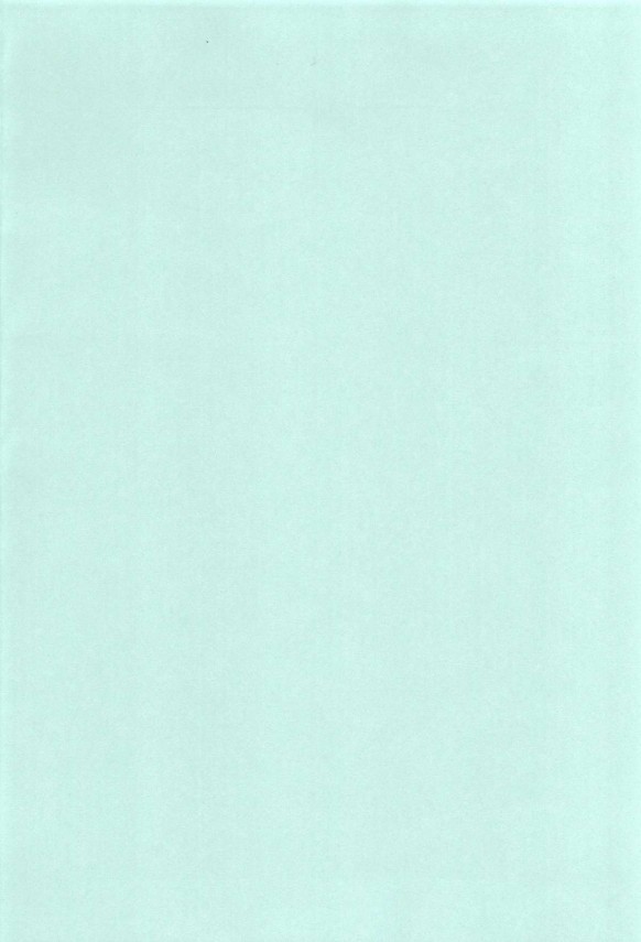 ロリ貧乳ちっぱいの清霜にフェラチオで口内発射【艦これ】_004_004