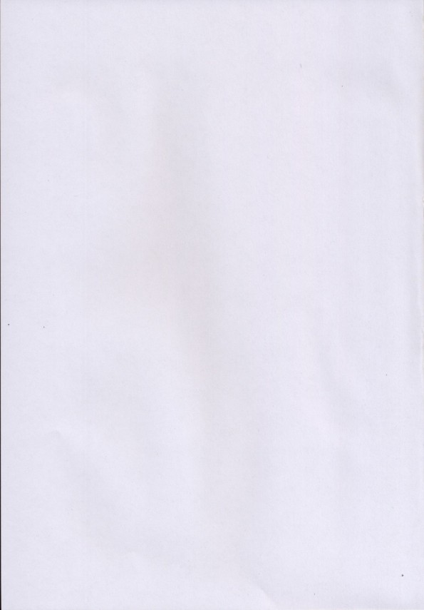 【リリなの エロ同人】美少女巨乳の八神リインフォース・アインスのエッチな衣装に興奮して勃起!【無料 エロ漫画】_003