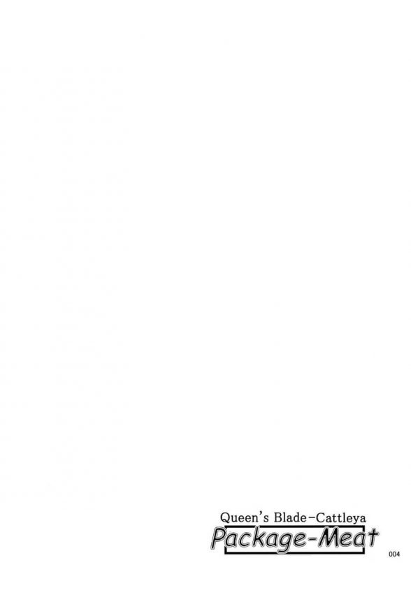 【エロ同人 クイーンズブレイド】武器屋カトレアが搾乳されながらおしっこしたりペニバン付けてレズエッチ【しあわせプリン堂 エロ漫画】 (3)